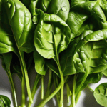 Spinach Power: What Happens to Your Body When You Make It a Daily Habit