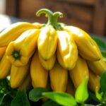 Banana Peppers